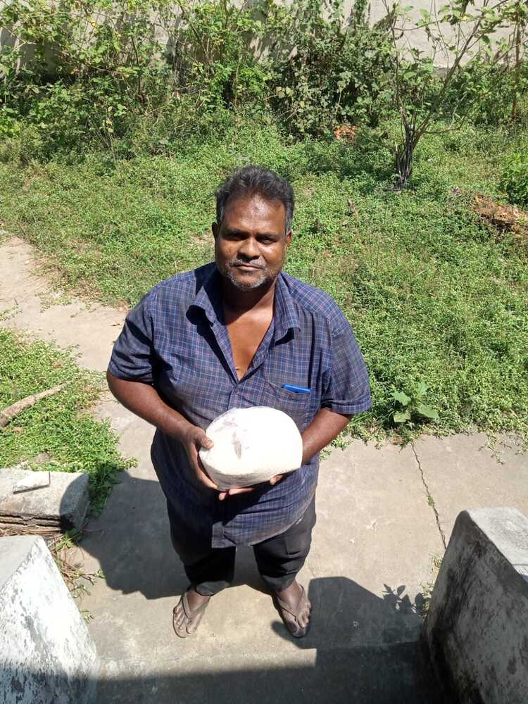 India (11)