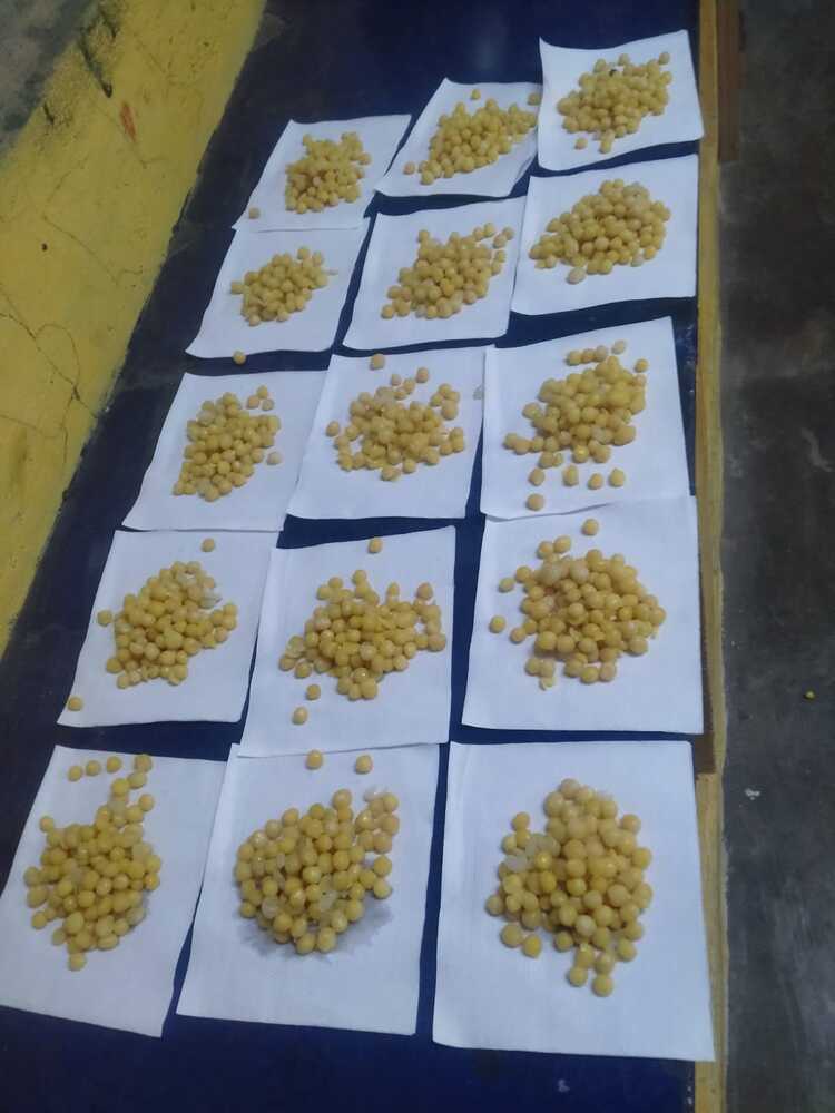 help to students and assistance for food for old people (9)